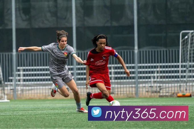 App Interface Preview